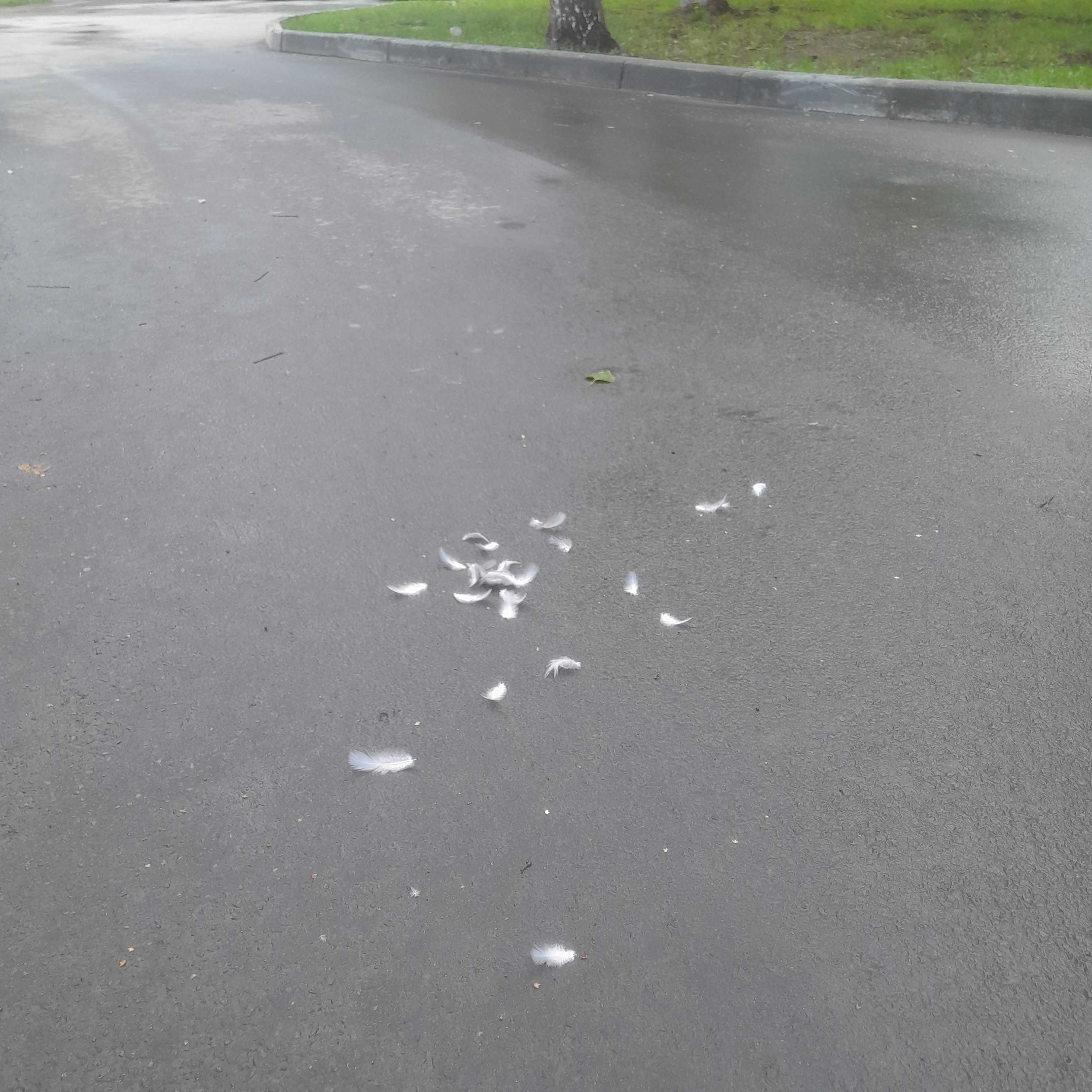 something happened